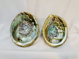 Abalone Shell Smudge Bowl
