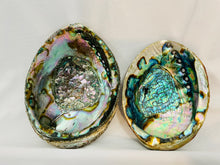 Load image into Gallery viewer, Abalone Shell Smudge Bowl
